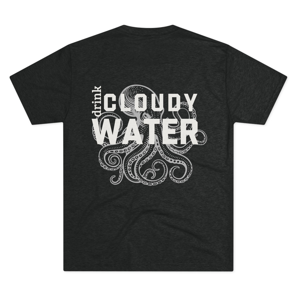 The Cloudy Water
