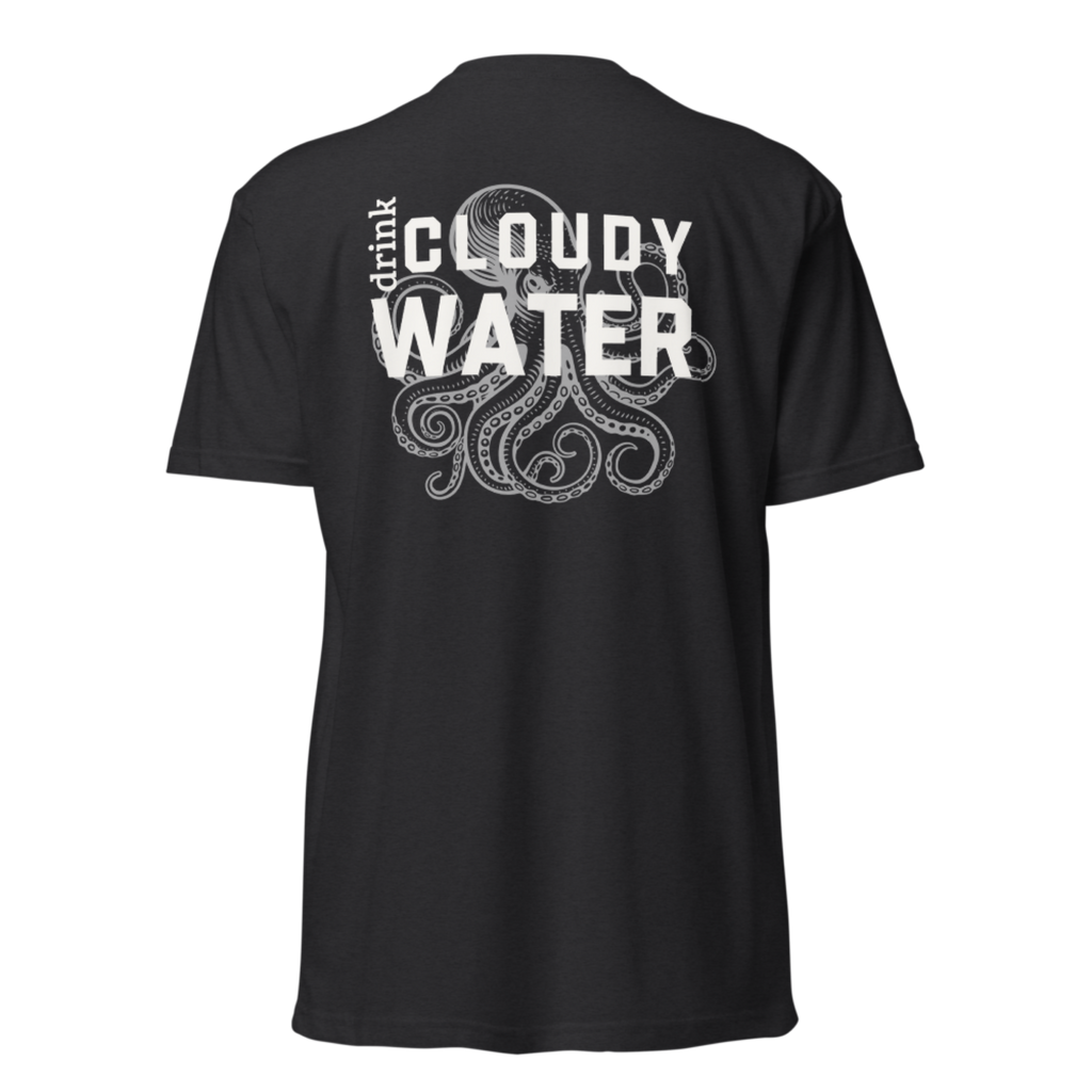 The Cloudy Water