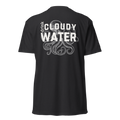 The Cloudy Water