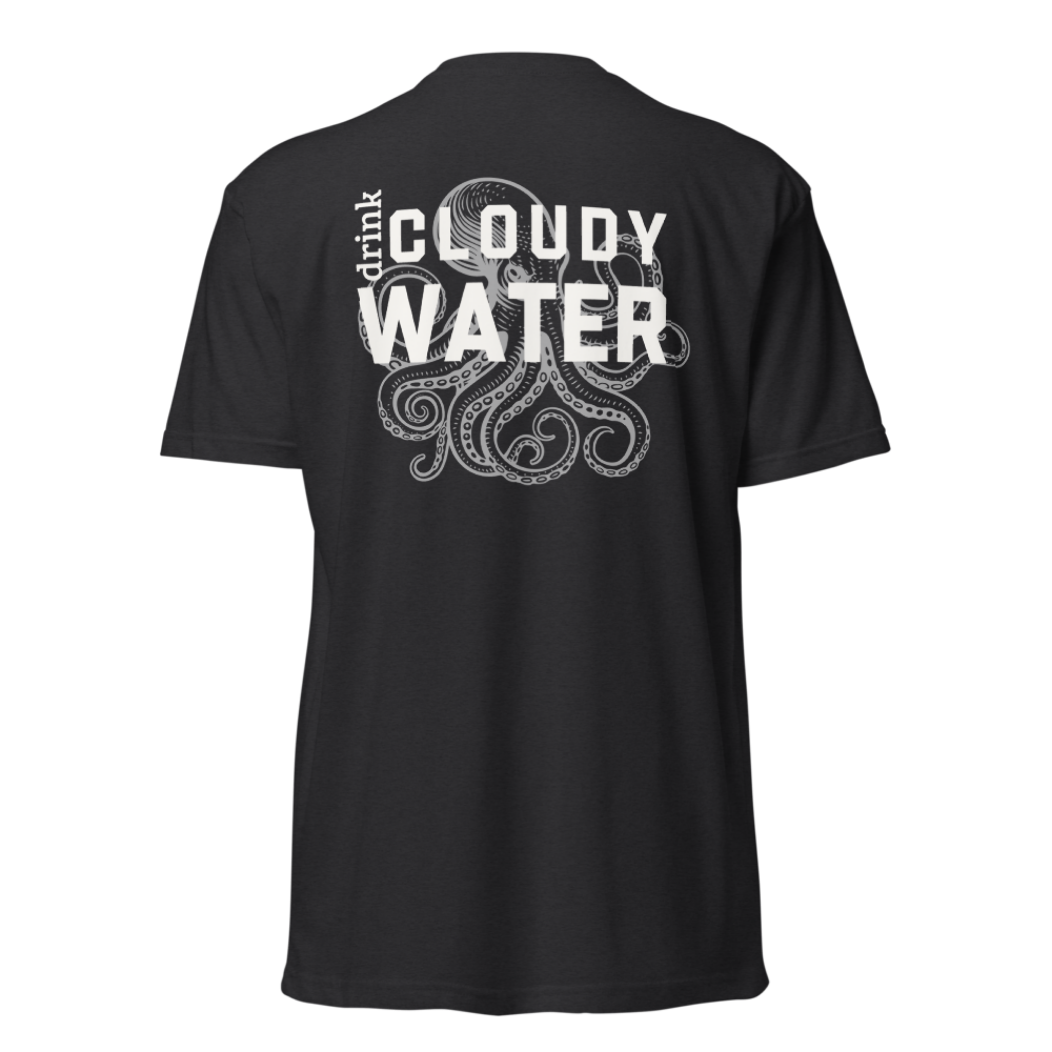 The Cloudy Water