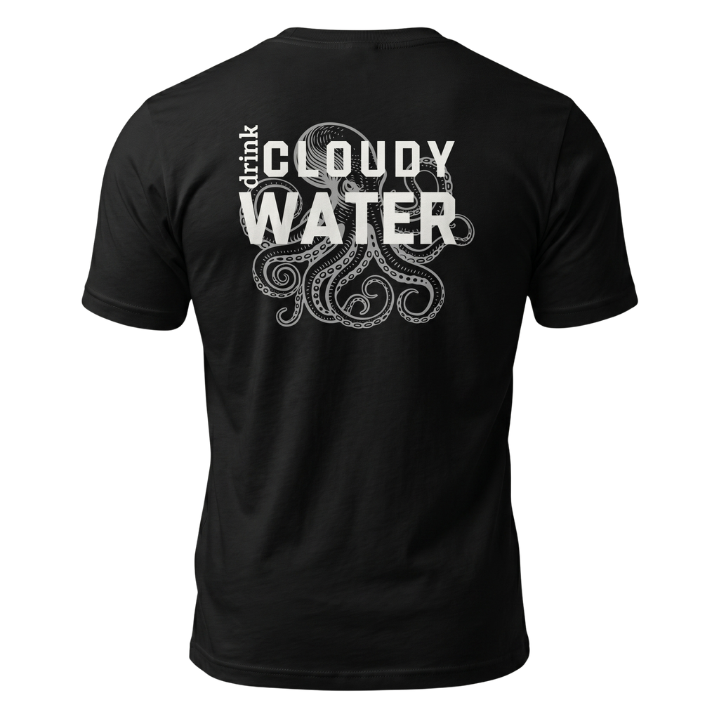 The Cloudy Water